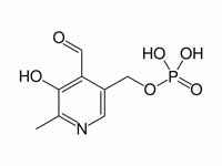 Pyridoxal phosphate