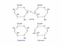 Structure of lactose and the products...