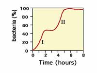 Monod's bi-phasic growth curve