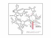 Structure of group II intron