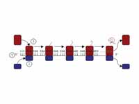 Operation of ribosome