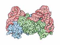 Aminoacyl tRNA synthetase for asparti...