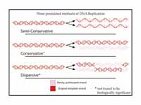 A summary of the three postulated met...