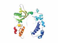 3D structure of the DNA-binding helix...