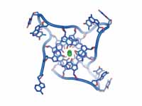 Structure of parallel quadruplexes th...