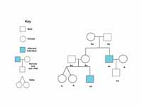 A genetics pedigree chart following a...