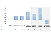 Epistasis bars