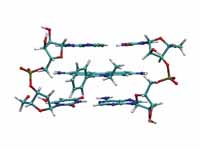 Ethidium intercalated between two ade...