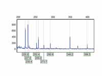 DNA electropherogram trace