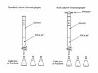 A diagram of a standard column chroma...