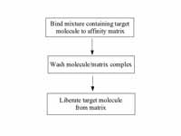 Affinity chromatography