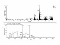 Full MS and MS2 spectra of a peptide.