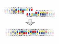 DNA ligation with a TCGA (Taq I) stic...