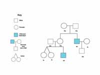 A genetics pedigree chart following a...