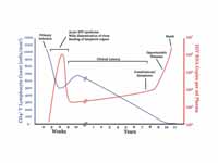 A generalized graph of the relationsh...