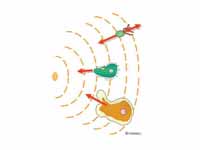 Chemotaxis of prokaryotic and eukaryo...