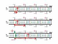 Propagating action potentials can be ...