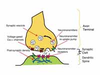 Illustration of the major elements in...