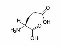 Glutamic acid (NMDA)