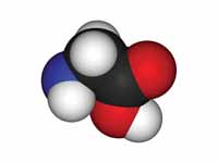 Glycine 3D structure