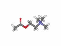 Acetylcholine ball and stick