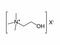 Choline skeletal formula