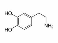 Dopamine