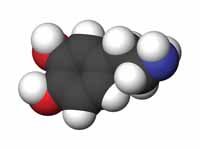 Dopamine 3D structure