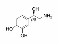 Norepinephrine