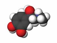 Epinephrine 3D structure