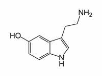 Serotonin