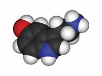 Serotonin 3D structure