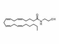 Anandamide