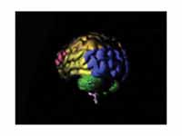 Animation showing the human brain wit...
