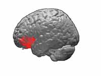 Brodmann area 47.  BA47 is in the fro...