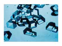 Insulin crystals