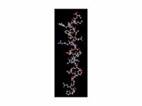 Glucagon ball and stick model, with t...