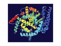 Angiotensin-converting enzyme