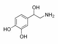 Norepinephrine