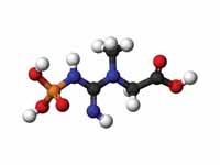 Phosphocreatine 3D