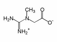 Creatine