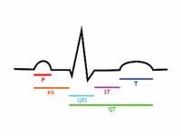 The EKG complex. P=P wave, PR=PR inte...