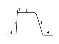 The cardiac action potential has five...