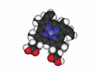 Space-filling model of Heme B