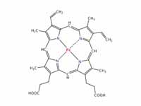 Structure of Heme B