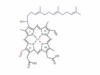 Heme A Heme A is synthesized from Hem...