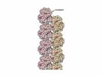 A single amino acid change in sickle ...