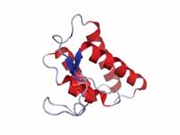 Solution structure of human IL-13