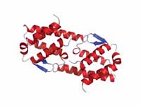 Crystal structure of human IL-5