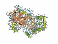 The structure of human RANTES